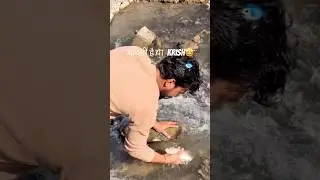 Aadmi h ya krishh🤩 live fishing. Catching fish by hand.