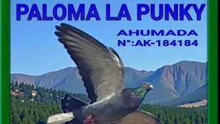 LA PUNKY LA L&Iacute;A, CAMBIO EN CLASIFICACI&Oacute;N 5&deg;prueba comarcal DAIMIEL P.Deportivos