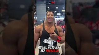 It's Over For Neckzilla