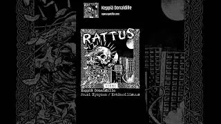 Rattus - 