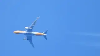 Scoot b787 crusing through sunset at 40000ft | High altitude spotting