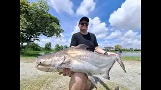 Chaopharya Catfish Predators Fishing Thailand 2025- BKKGUY