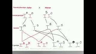 2026 GCE Biology p2 Revision