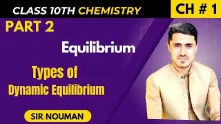 What Is Dynamic Equilibrium//Types of Dynamic Equilibrium//#Chemistryinsightswithnomii
