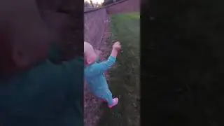 kids playing with dogs #fetch, #dogs #flips