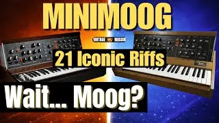 Minimoog Model D &mdash; 21 культовый рифф, который вы знаете (винтажные и переизданные версии)