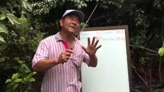移植