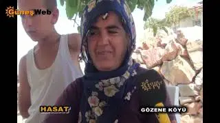 Hasat Gözene Köyü 2014