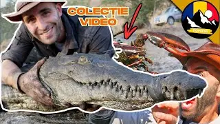 Am găsit un crocodil într-o conductă de canalizare! Își poate rupe Omar brațul? Lumea subacvatică