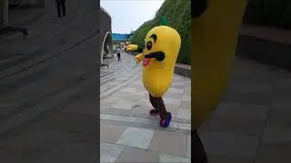 MANGO FESTIVAL #shorts #shortvideo #viralvideo