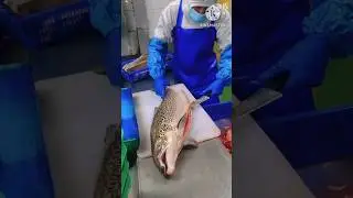 How to Cut a Whole Salmon in Seconds l 🐟 l #shorts #viralshorts #fishcutting_skills #salmonfish