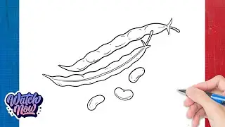 How to draw Green Bean