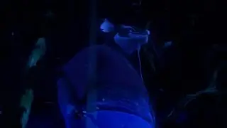 TMNT (2012) Splinter&rsquo;s Message