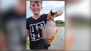 KSAT News Now: Bexar County facing discrimination lawsuit, Rare South American fish caught in Ok...
