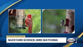 Positive Parenting: Science-focused activities