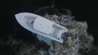 GameFish 30 - 2017 - Sea Hunt