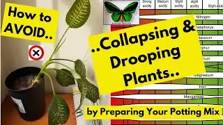 How to AVOID Collapsing & Drooping Plants by Preparing Your Potting Mix (Incl. pH Test)