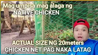 GAANO BA KALAKI ANG 20m na CHICKEN NET |ACTUAL NA LATAG #eskatvbuhayprobinsya