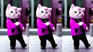 AI Cat Dance | Hilarious Virtual Cat Busts a Move! 🐱💃 #AIDance #FunnyCats #shorts