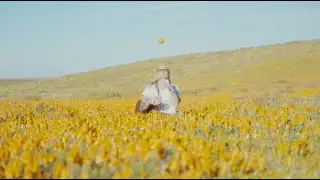 Forget Brennan - Not a Pop Song
