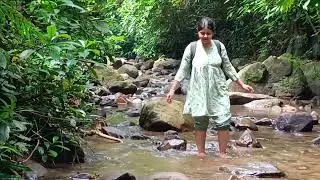 Chakrashila wildlife sanctuary Kokrajhar Assam