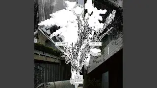 X-Ray