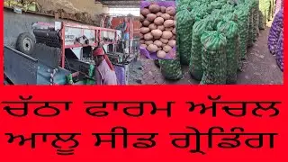 Potato Grading machine|ਆਲੂ ਦੀ ਗ੍ਰੇਡਿੰਗ | ਚੱਠਾ ਫਾਰਮ ਅੱਚਲ |#punjabiudaan