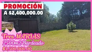 🏡 TRES MARÍAS ‼️ 2500M2 DE REMATE ‼️ TOTALMENTE BARDEADO