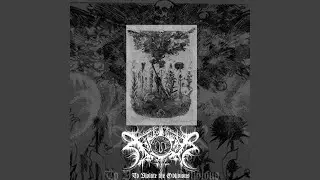 A Gate Through Bloodstained Mirrors