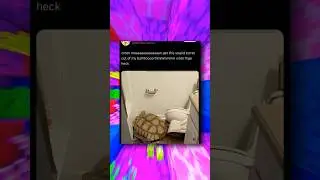 Мемы про ванную! 💩