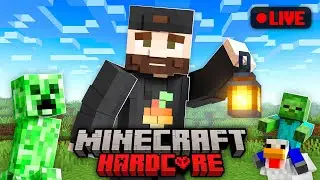 1 sub = 1 chicken | Road to 1000 subs!
