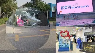 Dubai Dolphinarium|| Best of Dolphin and Seal Show in Creek Park Dubai||Must Visit Indoor Attraction