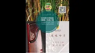 Guzheng Dunhuang 698JM ch&iacute;nh h&atilde;ng | Trung T&acirc;m Thập Lục Cổ Tranh