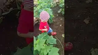 cute baby #enjoying farm life#walking#shetkaripor