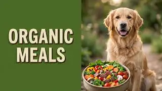 Welcome to pawTree Doggie Delight: Your Source For Organic Meal for Dogs and Cats