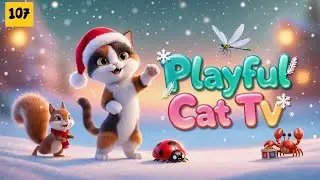 Playful Cat TV &ndash; Cat Games That Keep Cats Active and Happy All Day Indoors