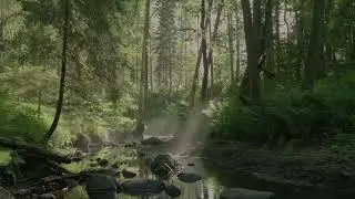 ACIM #004 | A Course in Miracles: Guided Practice