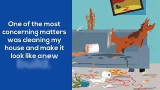 Make Properties Market Ready by Pre-Sale House Cleaning in Melbourne