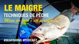 P&ecirc;cher le MAIGRE du BORD au leurre c'est possible !