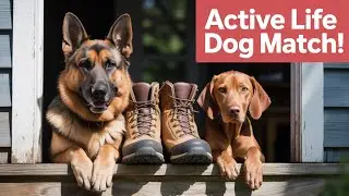Choosing the Right Dog Breed for Your Active Lifestyle