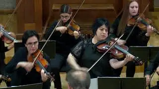 Franz Schubert - Death and the Maiden for String Orchestra, NCOA, Amayak Durgarian