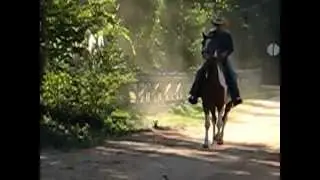 The Missouri Fox Trotter Boogie Blooper