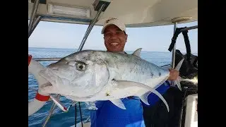 Bludger Trevally on offshore Fishing || By Angler Bal Brave || Himalayan Anglers