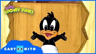Baby Looney Tunes | Looney TV | Cartoonito UK