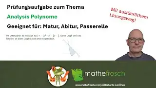 Prüfungsaufgabe Analysis mit Polynomen