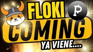 🔵 Join the FLOKI Excitement and Trade Pointpay Crypto Bank |  Update Mar - Apr 2023