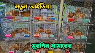 নতুন আইডিয়া মুরগির খামারের