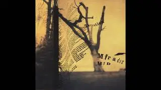 Tarnation - I Didn't Mean It (In&eacute;dit)