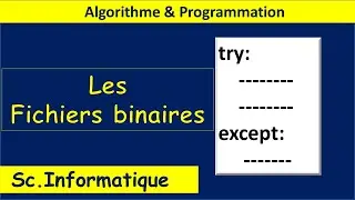 Algorithme et programmation | Les fichiers binaires | BAC INFO