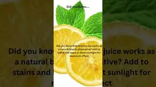 Lemons as a Natural Laundry Cleaner & Bleach &ndash; Stain Removal & Whitening with No Chemicals